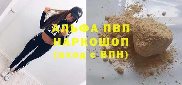 стафф Алзамай