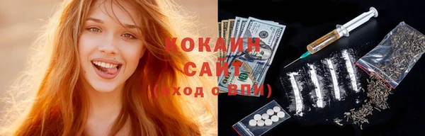 дживик Алексин