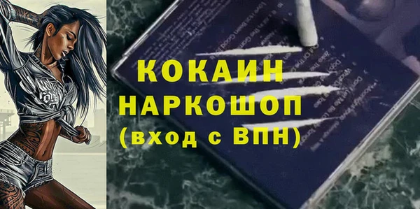 стафф Алзамай