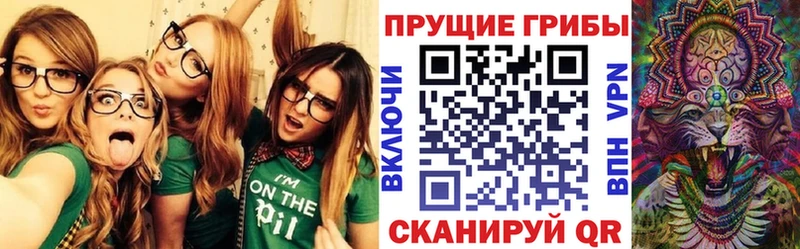Галлюциногенные грибы прущие грибы  купить   Петровск 