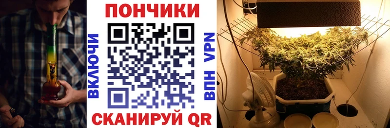 Каннабис Ganja  Петровск 